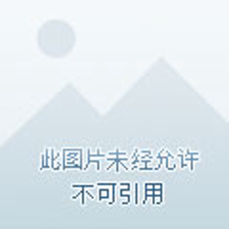 抚顺网站建设